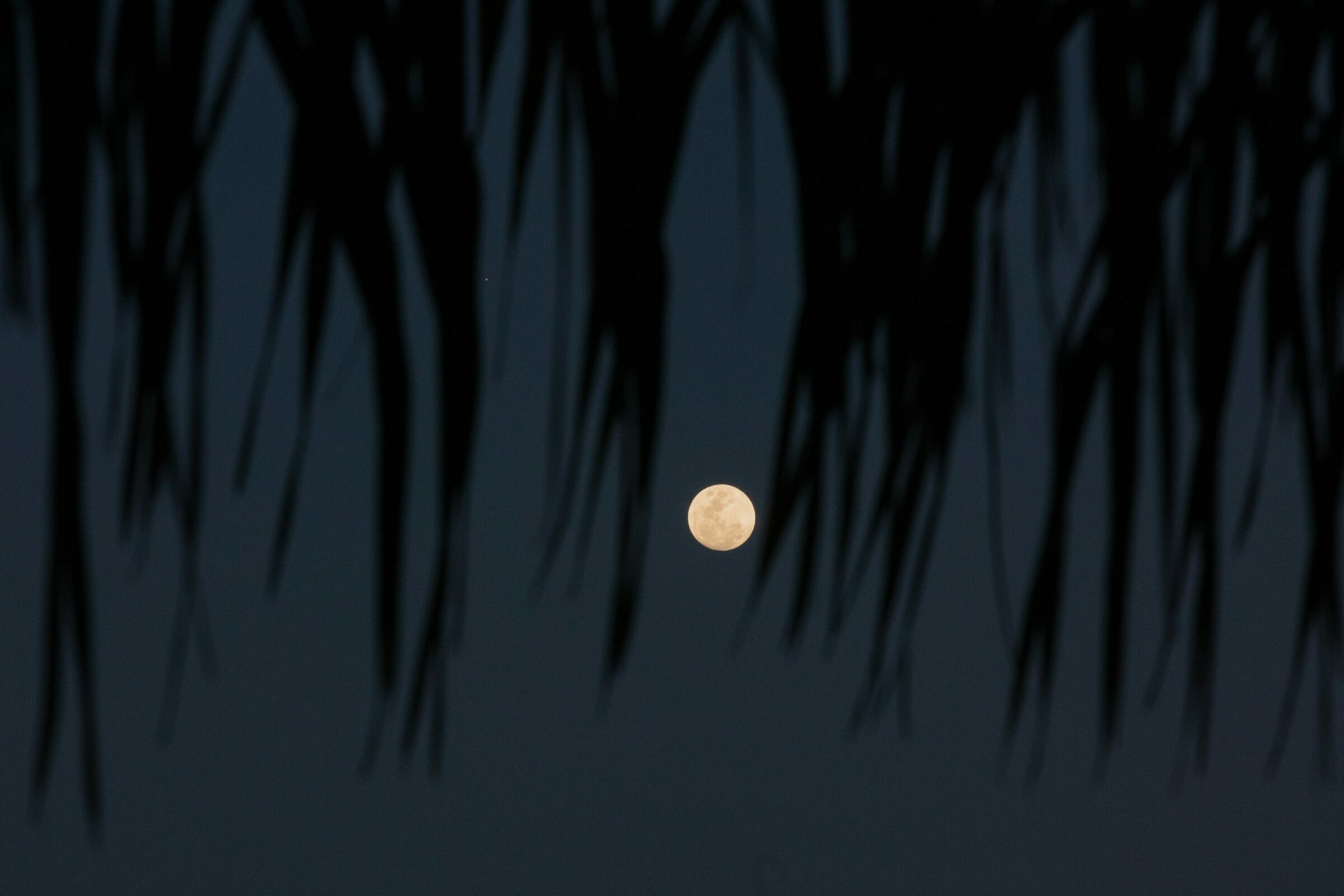 Foto de LUCIANA CORSO GALIOTTO 2